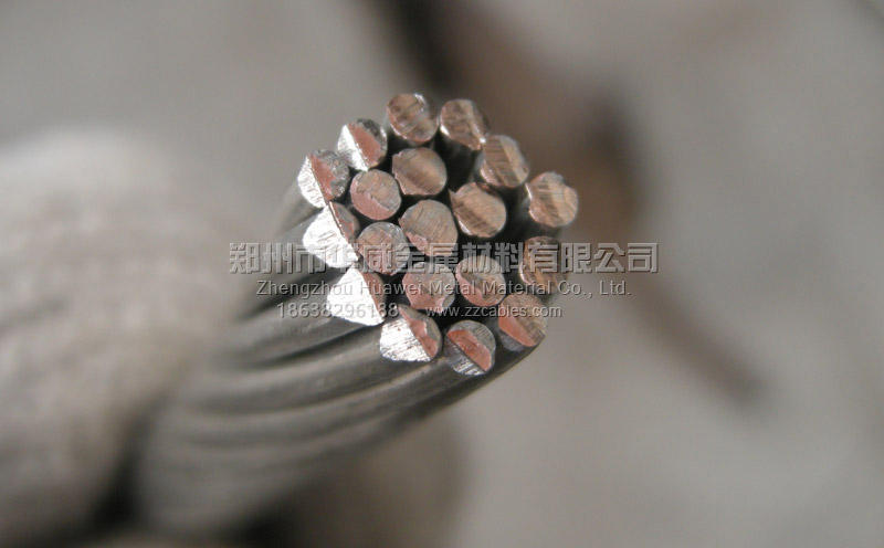 鍍錫裸銅絞線(xiàn)截面